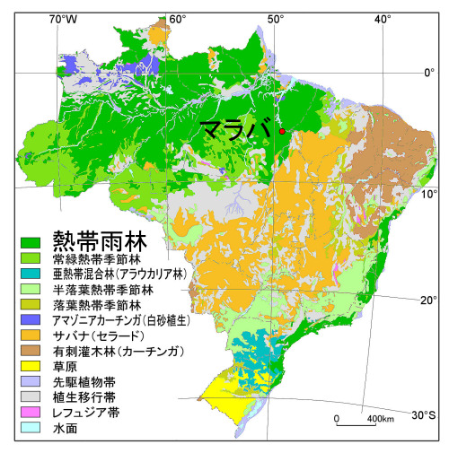 Natural vegetation of Brazil