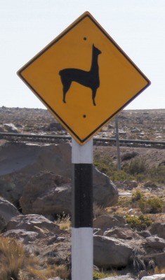 Road sign Vicuña