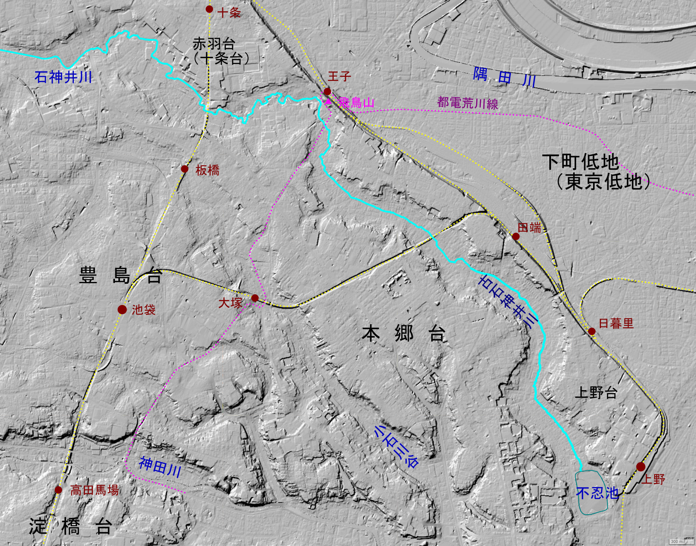 Channel course of Old-Shakujii River