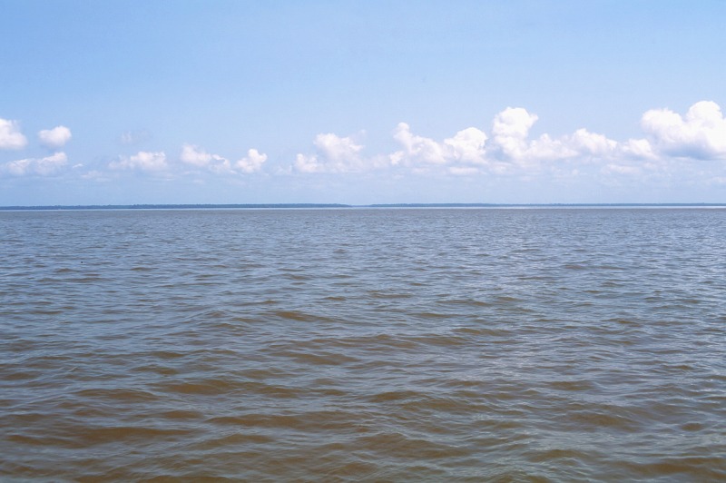 Pará River（Southern Estuary）& Marajó Island