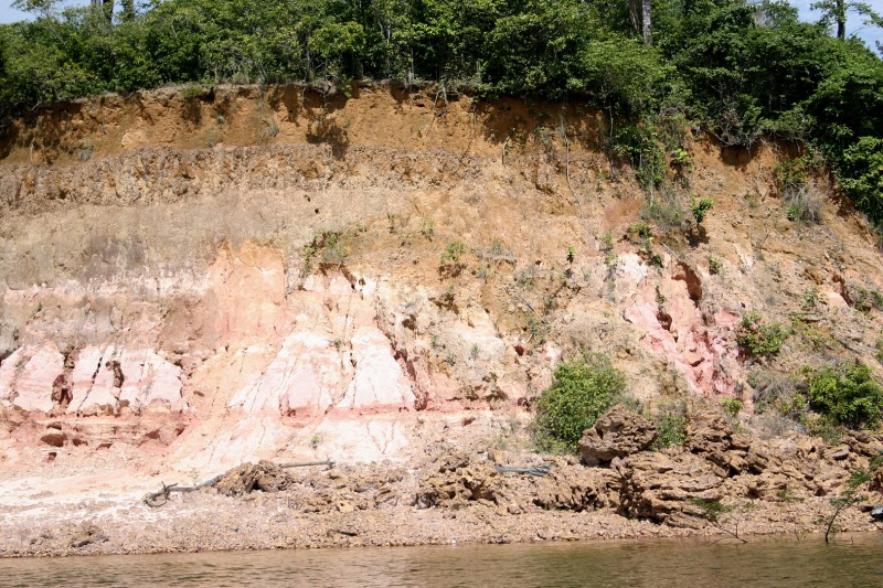Soil profile with laterite horizon