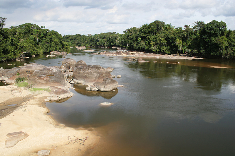 ネグロ川の支流ジャグアペリ川の黒い水
