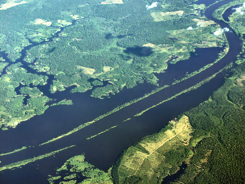 Natural levees of the blackwater Urubu River