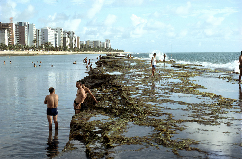Beach rock in the city of Recife
