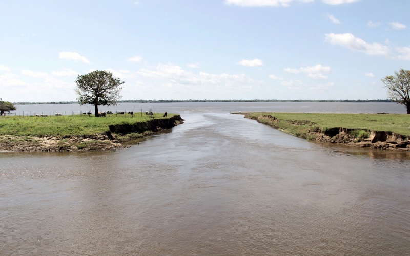 Natural levee along the Paraná do Limão