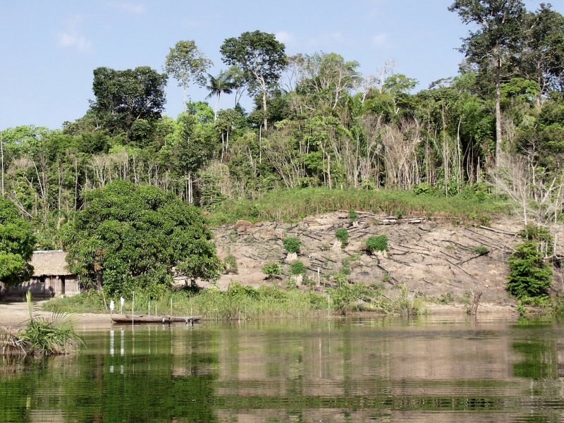 Cassava field on the slope of upland