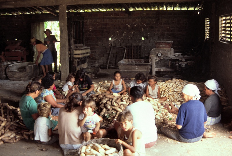 Cassava mill house in Northeast Brazil