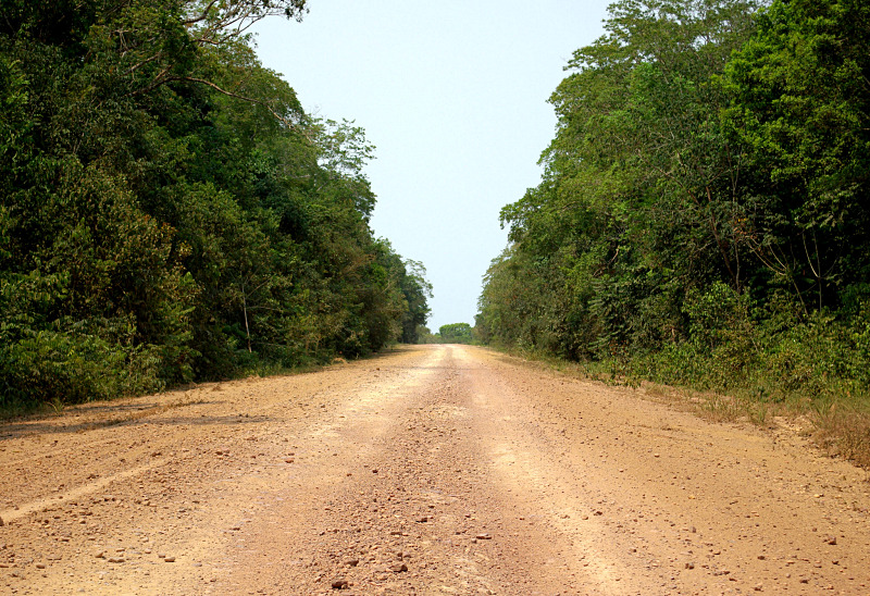 Crossing the Trans-Amazonian Highway through the native forest