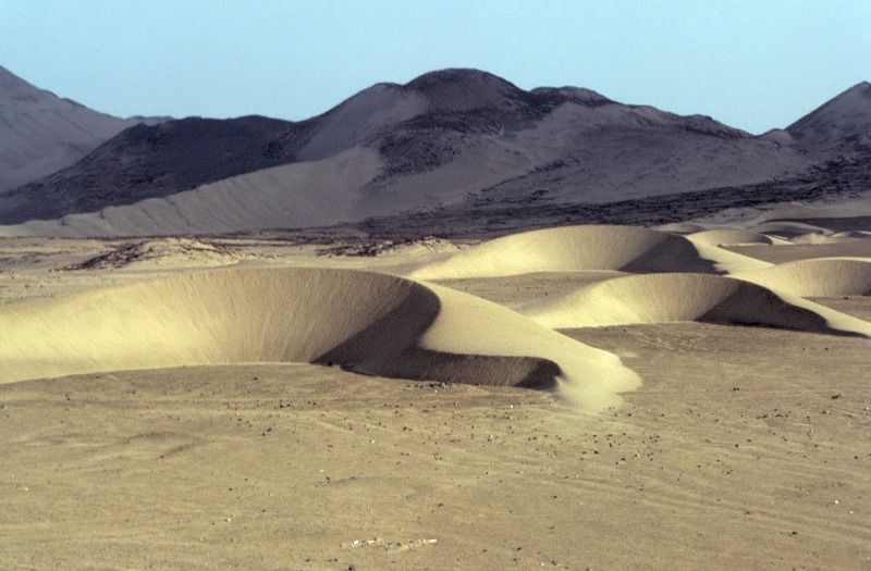 Barchan dunes in Peru Desert