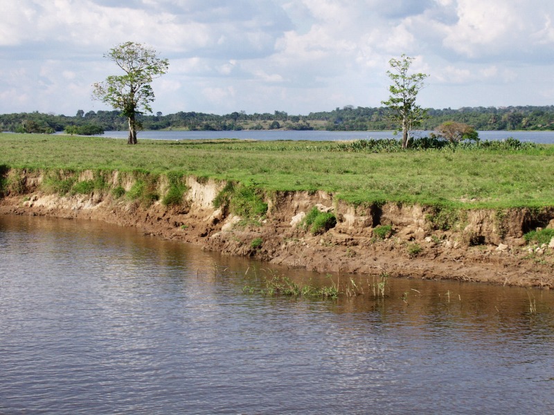 Alluvial soil on Amazonian flood plains