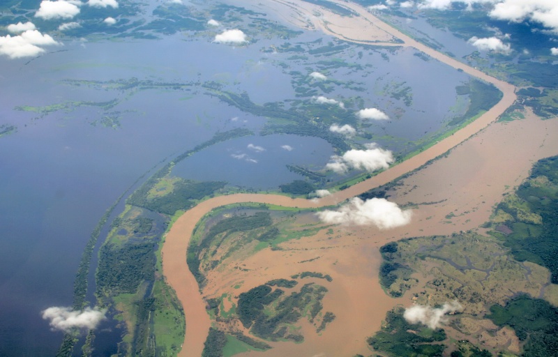 高水期のマデイリーニャ川氾濫原
