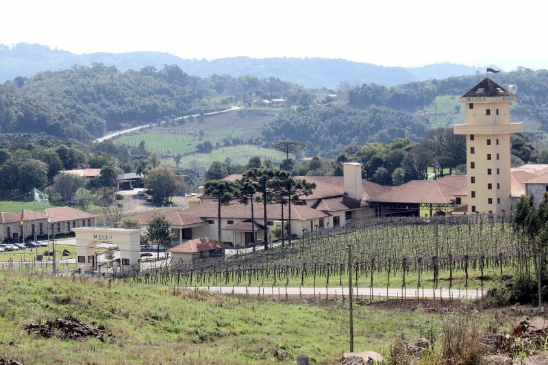 Winery in Vale dos Vinhedos