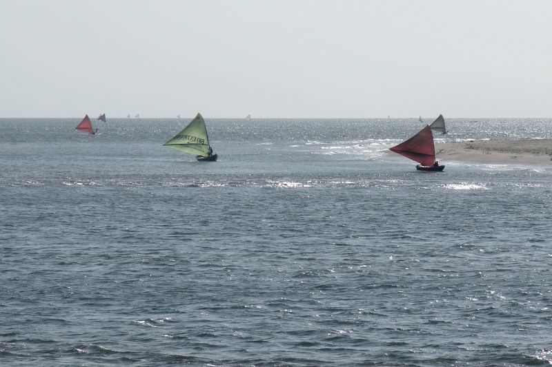Camocim City lined with triangular sails offshore