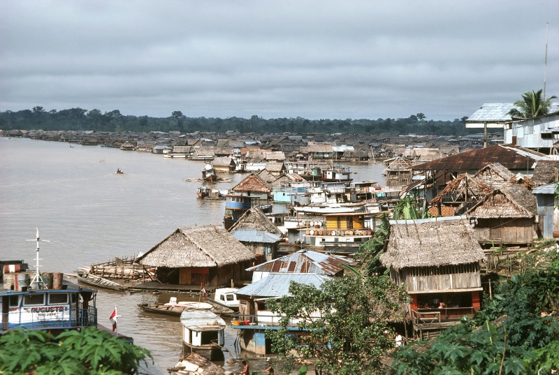 Floodplain settlements in Iquitos