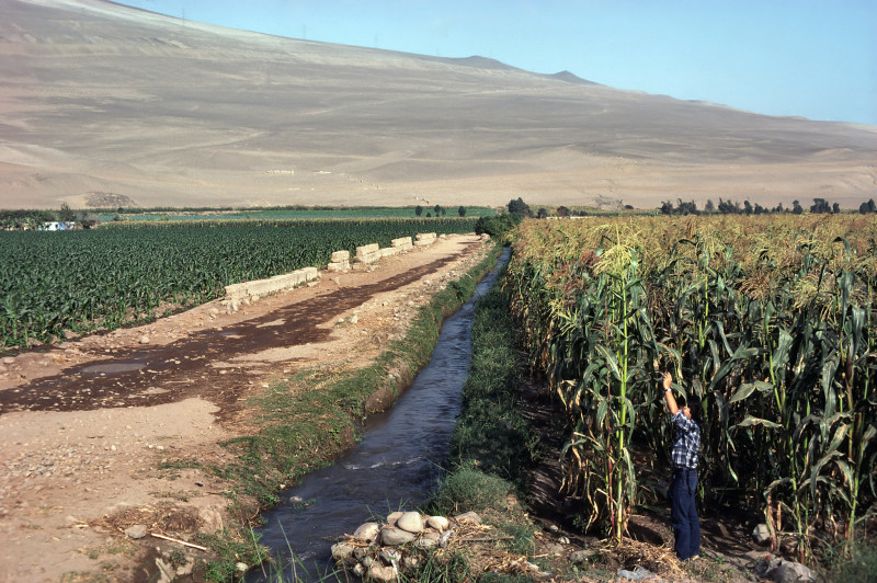 Irrigation land of Chancay River Oasis, Peru Desert