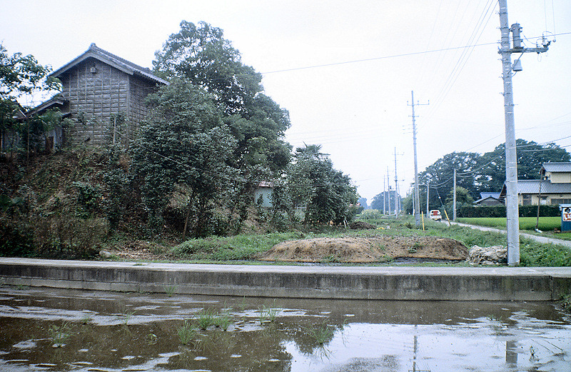 Mizuya (Raised hut) in the lowland along the middle Tone-gawa