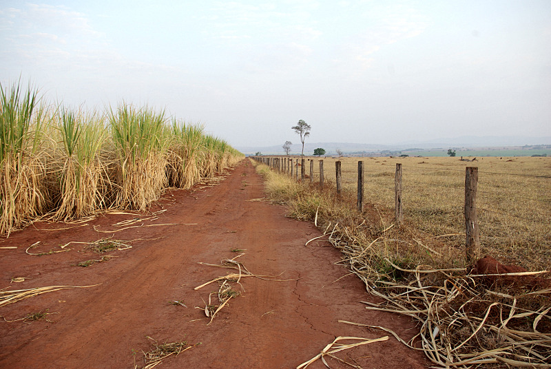 Sugarcane fields and ranches in Campo Cerrado