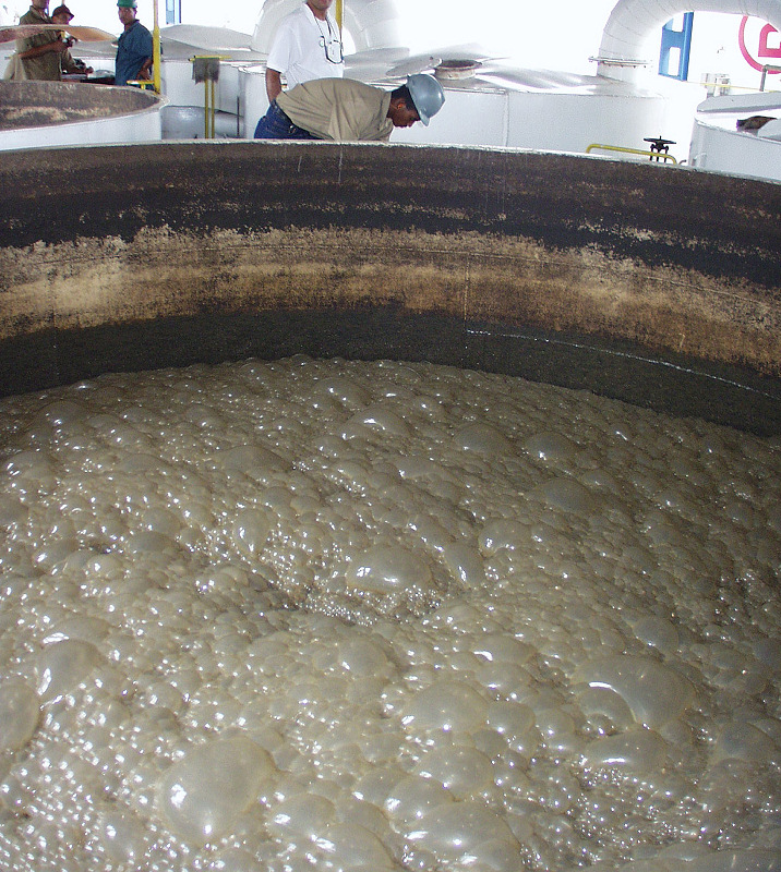 Fermentation tank for bioethanol