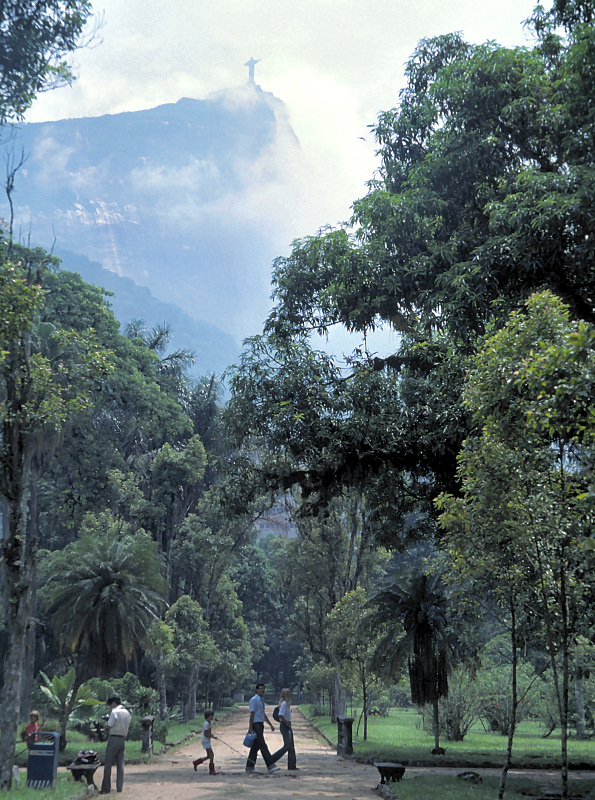 Corcovado Hill from the Botanical Garden in Rio de Janeiro