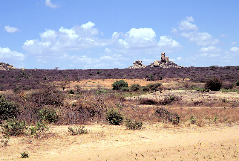 タンザニア、ドドマ高原のインゼルベルク、ルガーラ岩