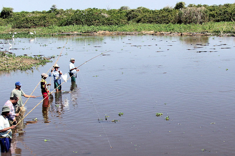 Waterfowl, alligator and anglers in the Pantanal