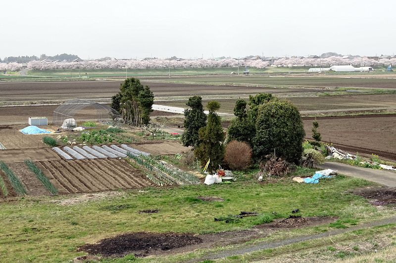 Ruins of the Iida Settlement in the Hakojima Retarding Basin