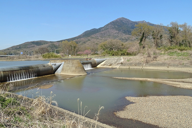 Sakuragawa River, Misogi Bridge and Hojo Dam　桜川の禊橋と北条堰