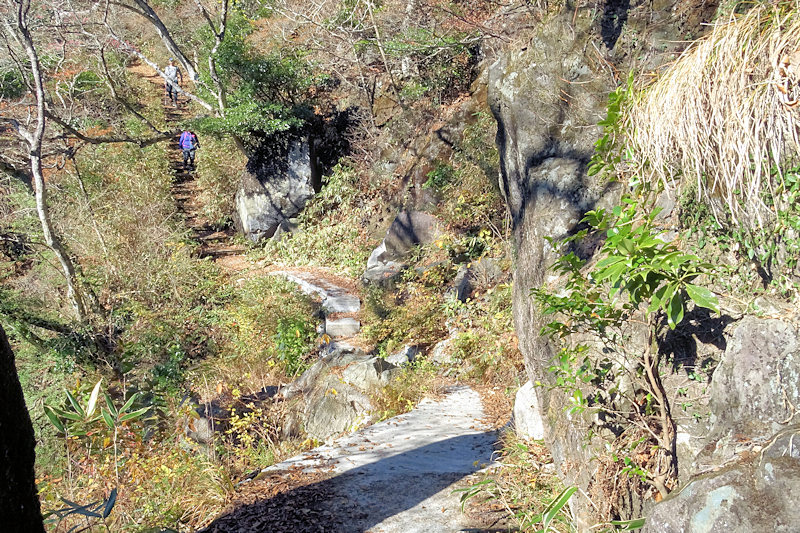 Mt. Tsukuba Nature Research Trail