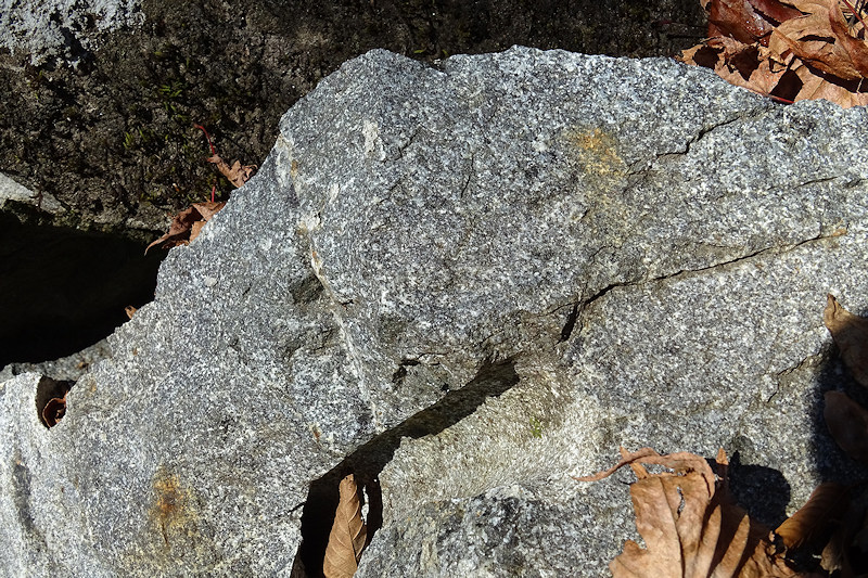 斑れい岩 width=