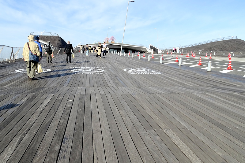横浜港大さん橋国際旅客ターミナル入口付近の木の歩道