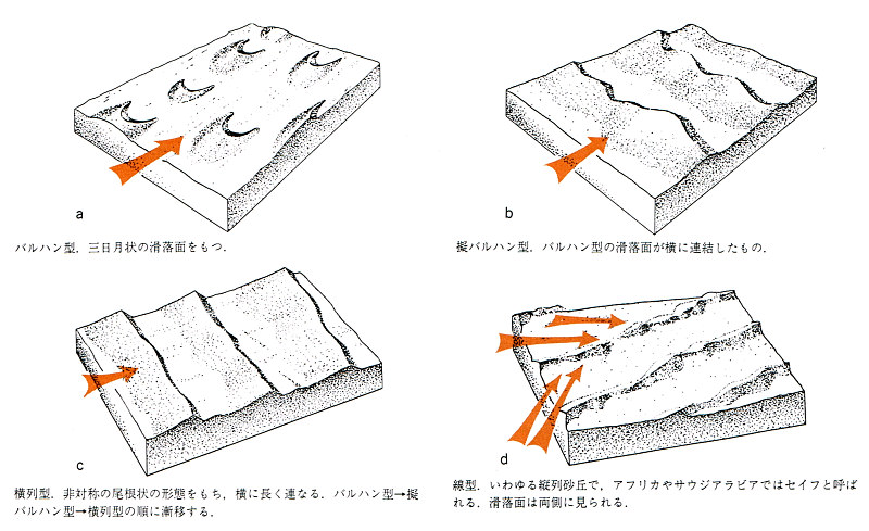 砂丘のおもな型