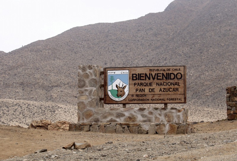 Loma-formation of Pan de Azúcar National Park in the Atacama Desert coast