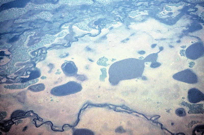 Mosaic of vegetation and topography in the Pantanal